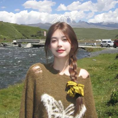机飞总动员2